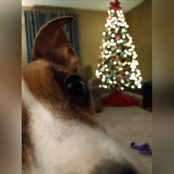 MEET YOUR POSHER, Rach - Picture 1 of 1